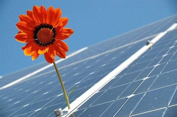 Cuál es el impacto ambiental de la energía solar fotovoltaica? - Blog de  energía solar