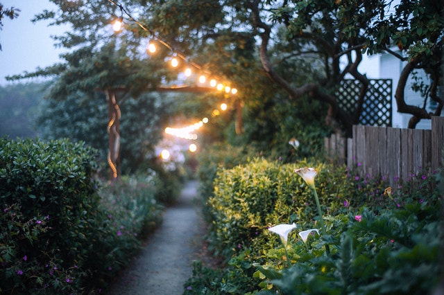 Iluminacion jardin con luces solares