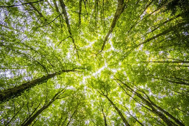 Beneficios luces solares medio ambiente
